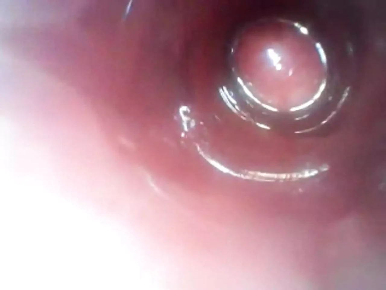 Homemade butt cam