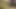 Verführerische flecken. Mirei auf der Jagd nach verbotener vergnÃ1/4gung erwischt - teil 1