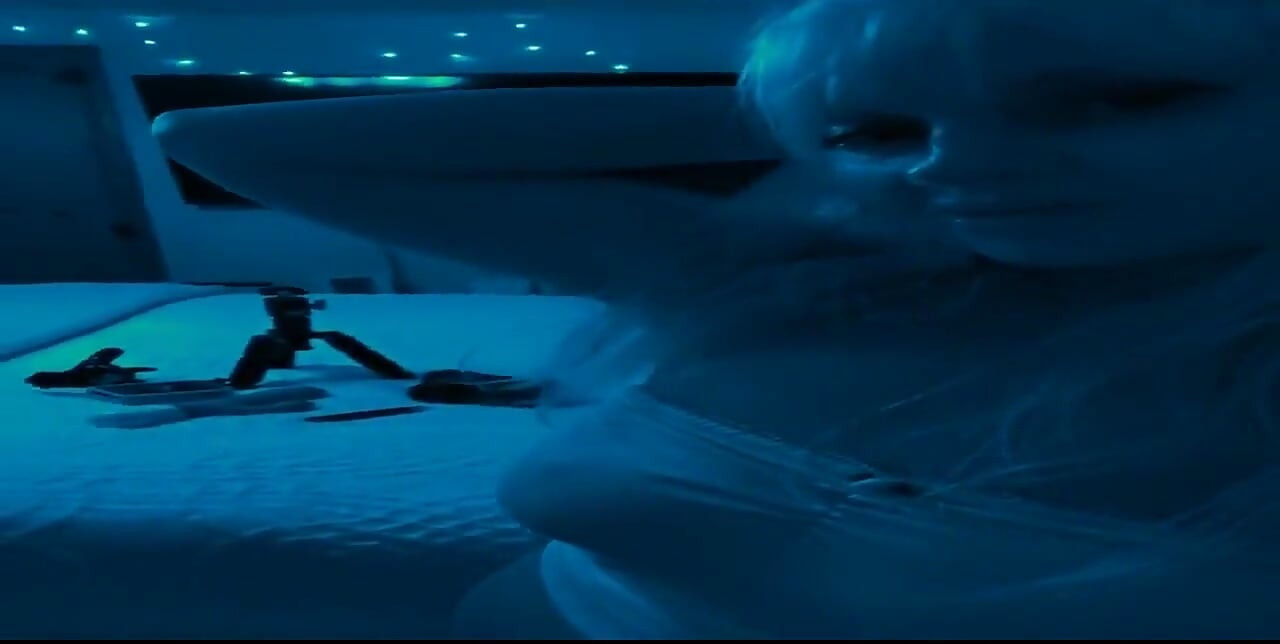 743203544831635456.mp4