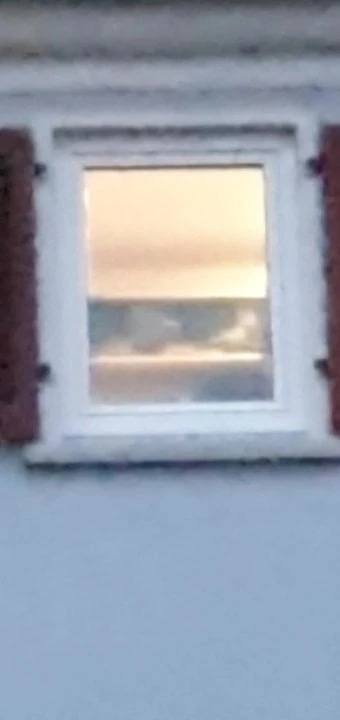 My mature neighbor