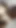 Pornellia Gives Me the Deepest Blowjob - the Best Deepthoat I've Everhad in My Life