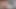 Uncut Cum Compilation