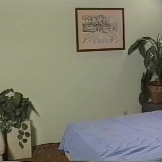 Pregled videozapisa