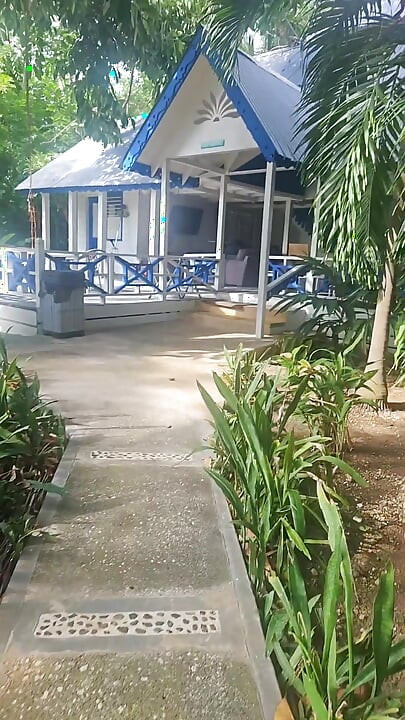 A lil slice of Paradise - Caribbean joy and delights