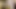 YOUNG HORNY DARLING 4K HD EATING COCK VERY EROTICALLY ROUGH COCK SUCK WITH DICK BITE