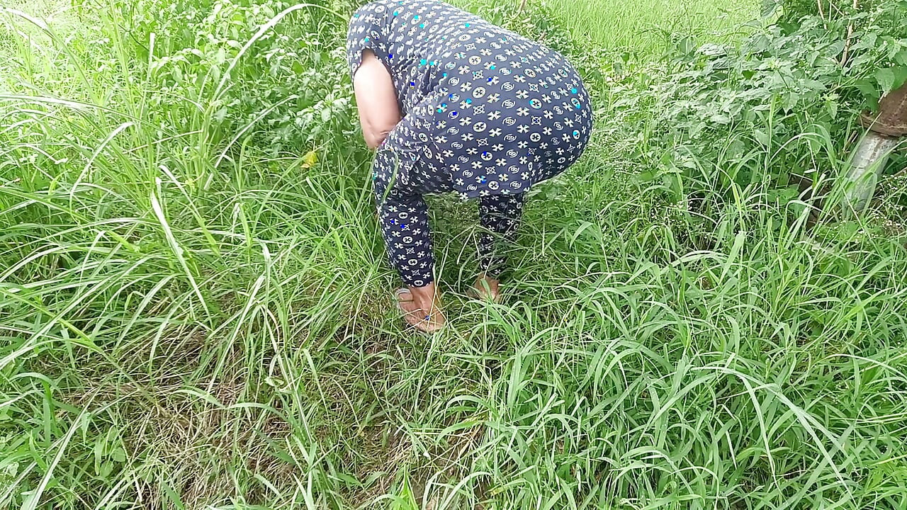 Outdoor Sex Videos Best Seen