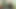 Fröhlicher Typ behandelt Typen mit frechen Blowjob vor der Gesichtsbesamung
