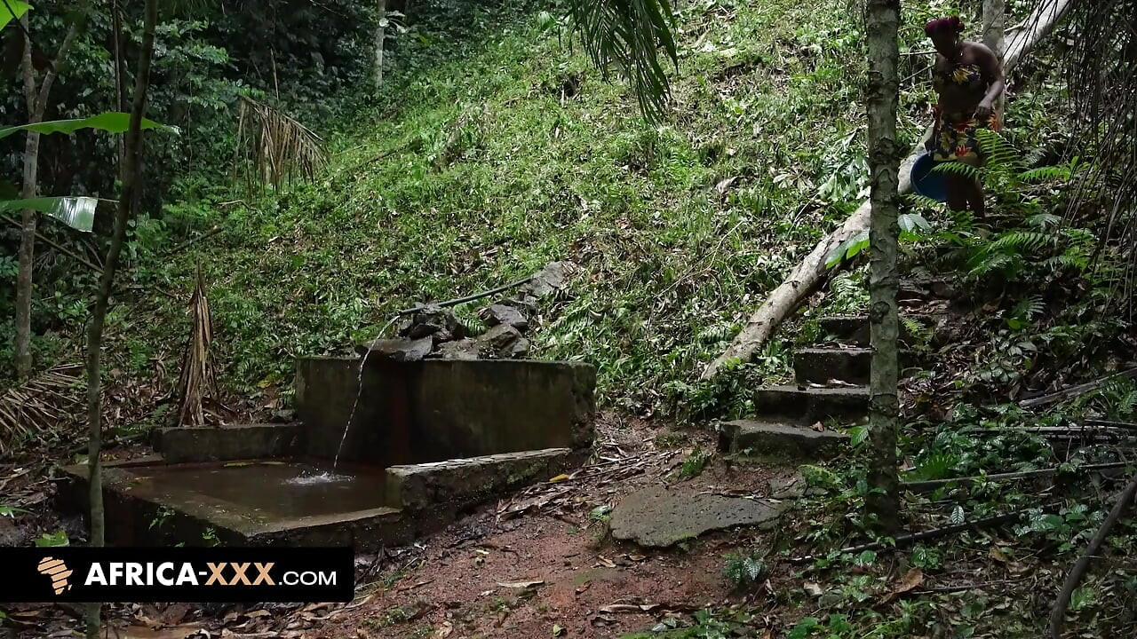 Pertemuan seksi di hutan
