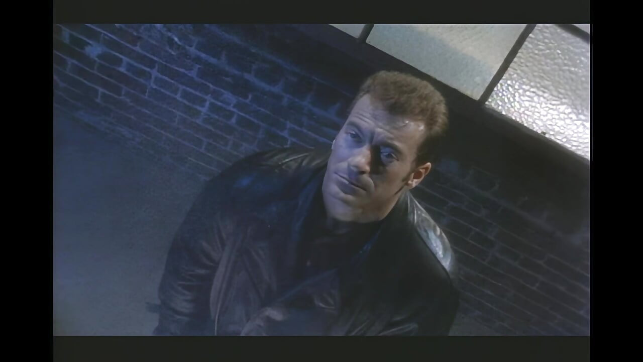 Božanska kraljica divlja jaše