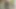 Maya_Dahlia videosu
