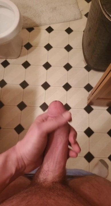 コーカシオンコック93