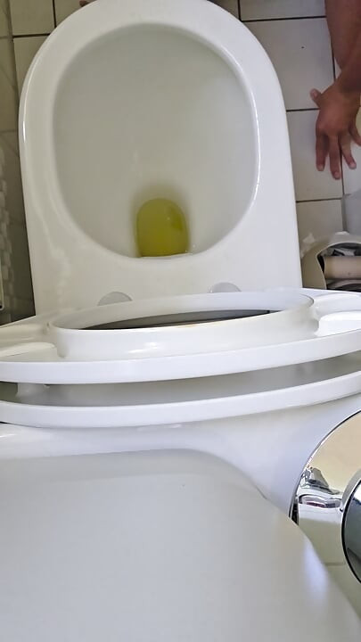 Toilet humiliation