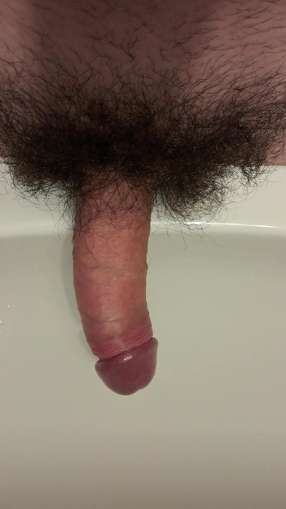 My bush