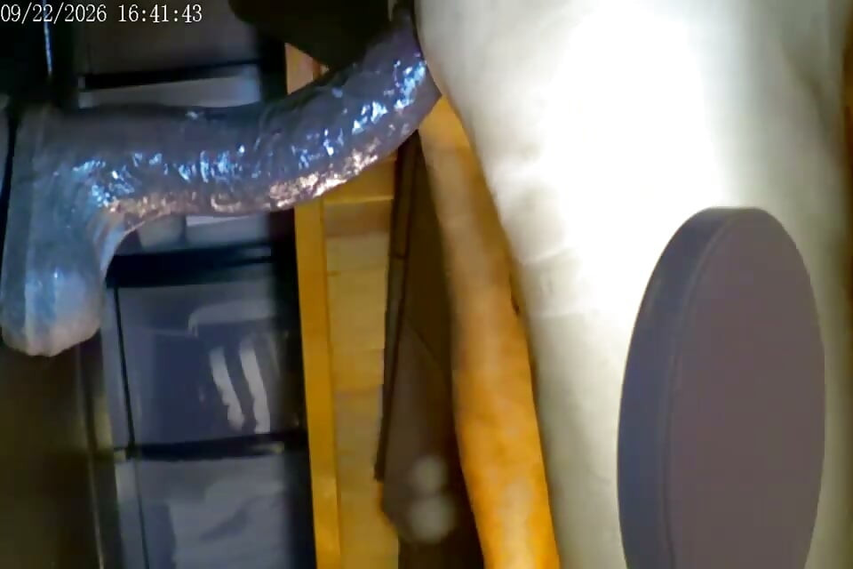 9-22-26 Cam2 Добірка Верхової Їзди Великий Великий Лерой Браун Найбільший Член Крейг Має В Місті..