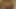Emma Roberts topless