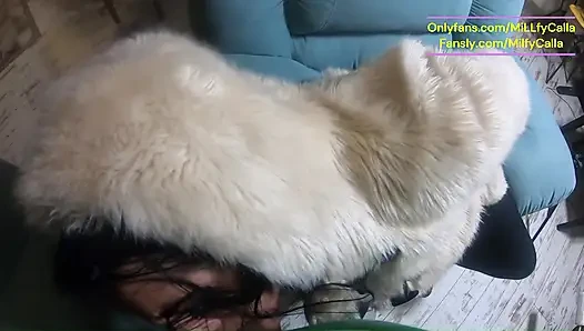 Sepong kontol sampai tebal di kursi - sepong kontol sampai dicrot di mantel buluku