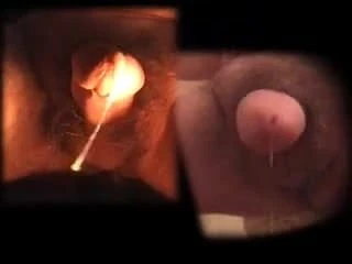 사정 영상
