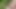 Geile japanische mami überrascht mit ihren lecken lippen während eines super dampfendigen porno-rauschs im freien mit einem JAV mit großen schwänzen!