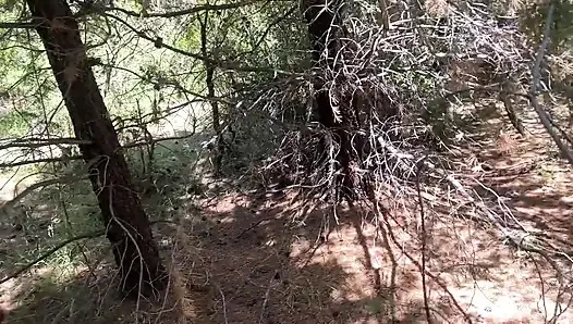 Beni götten sikmek için çalıların içine aldı