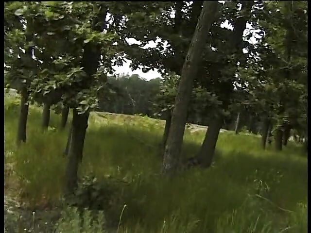 Sem pelos, menos menina é de quatro ao ar livre