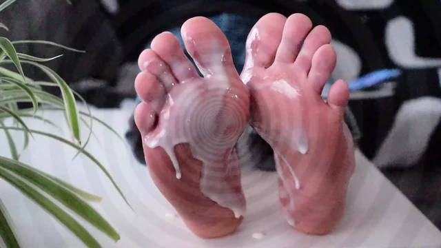 Lick my feet pig