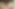 (18 Year Old) Boy next Door Jerking Monster Cock - 23 Cm
