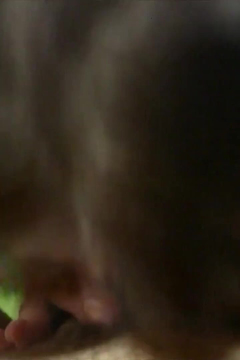 I Suck My Stepdad's Delicious Cock (from Our Private Homemade Sex Tapes)