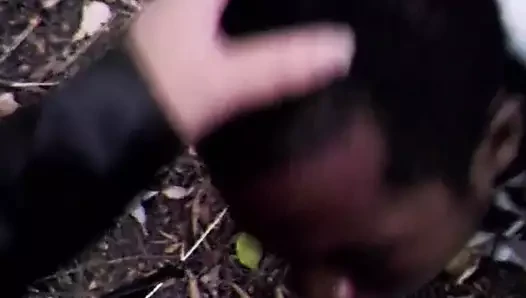 Beyaz ayı ormanda siyah haydut doğurur