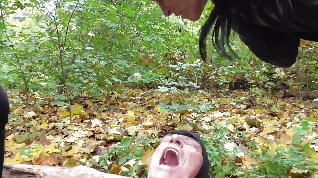 The Slave Bastards Destroyed in The Forest