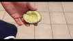 Pregled videozapisa