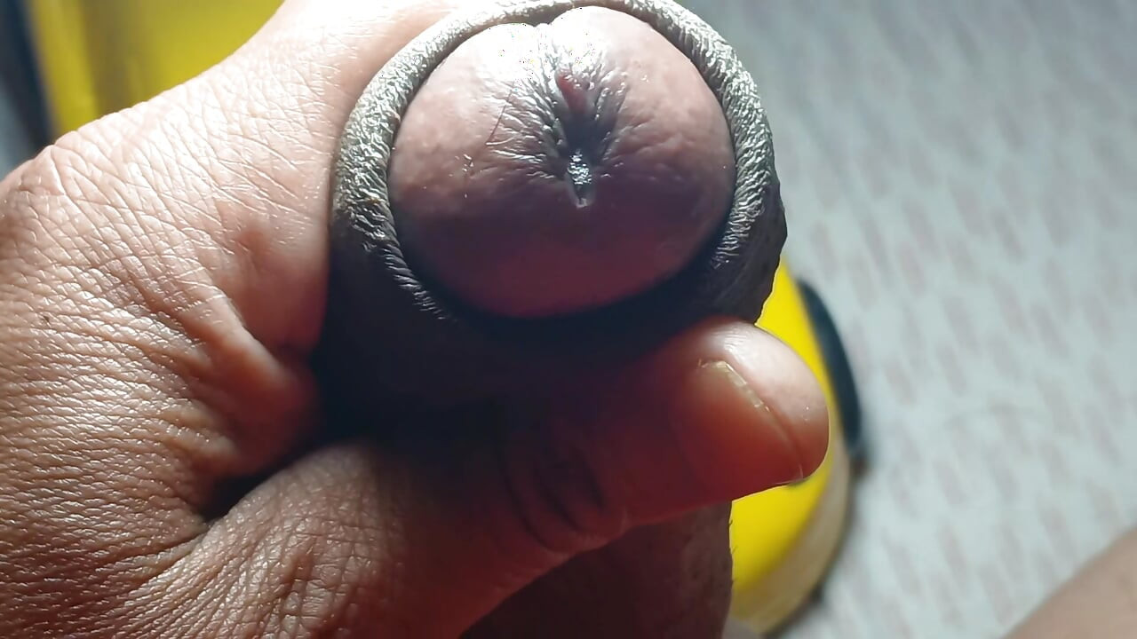 एनाकोंडा का थोड़ा सख्त सिर है