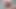 Sweetannabella tarafından masaya en iyi masaj handjob