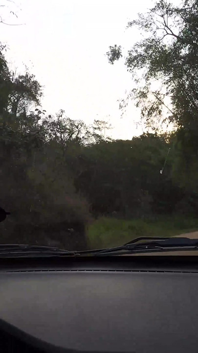 Dreadhot Pulls Over for a Quick Load