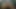 Asshole & Pussy Take the Spotlight in a Bold and Intense Scene with Dominant Energy, Raw Chemistry and Unfiltered Sensual Vibes