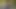 Gerçeklik kralları - gül gölgeleri gül darbeleri