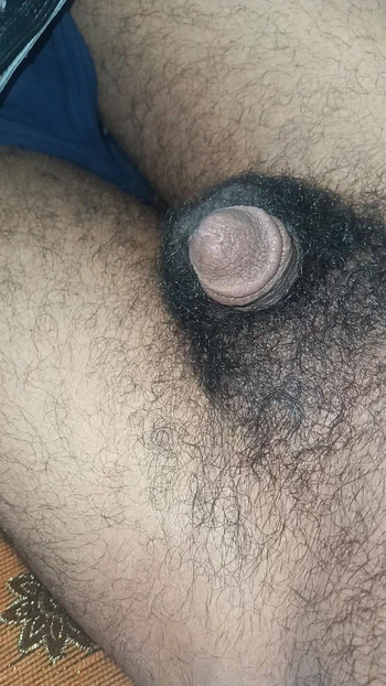 Moj kurac je dlakav, dođi me jebati.