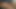 Schweres Atmen und lautes Stöhnen, Masturbation (Zuschauerwunsch)