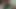 INDIAN AUNTY HINDI AUDIO SEX VIDEO