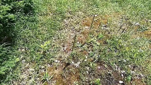 Another surprise blowjob in the forest