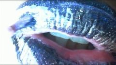 Meesteres Onyx - zwarte lippenstift fetisj kauwgom kauwen