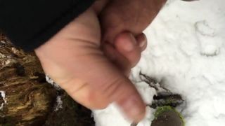 Diversión en la nieve 2