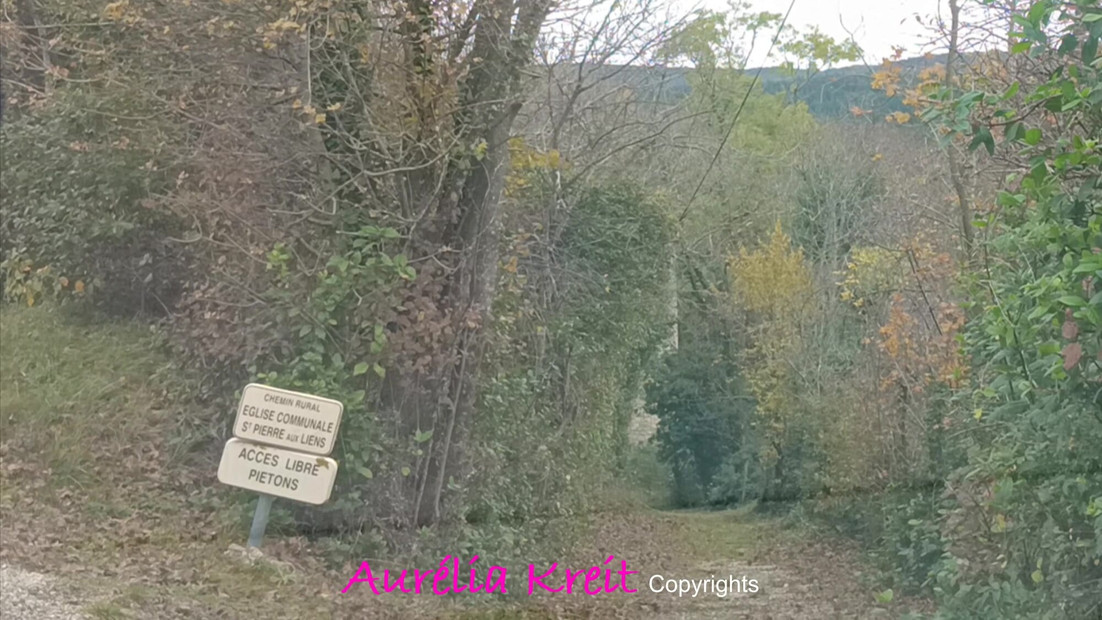 Christmas is approaching, Santa Girl is out to prepare Santa's tour: