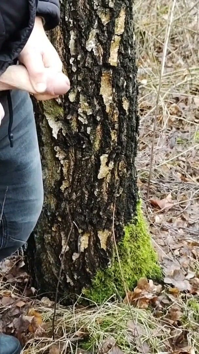 I quickly jerk off and cum in the forest for my subscriber! | Clip 1