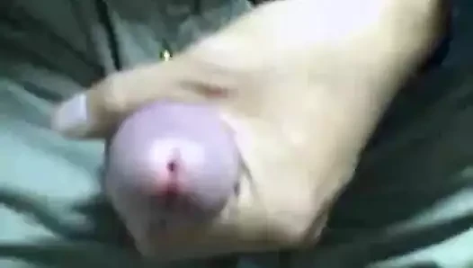 Seks