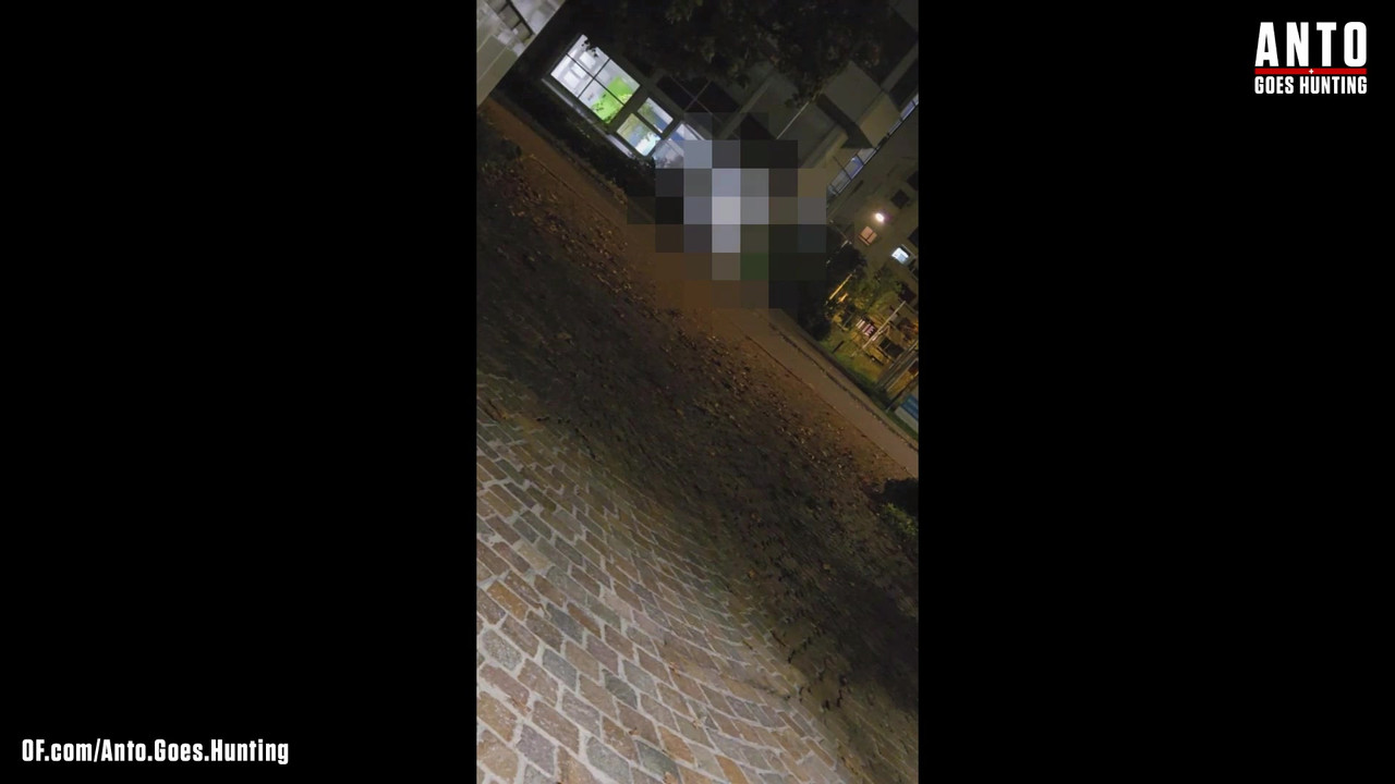 另一个保安走近并说服