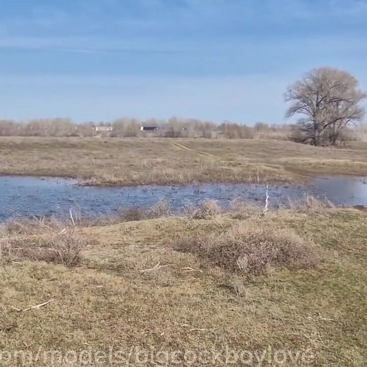 Fuck Me on the Side of the Road, Shove a Big Cock with Cum up My Ass