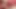 Eager and obedient pup dude fed big thick cum load on tongue