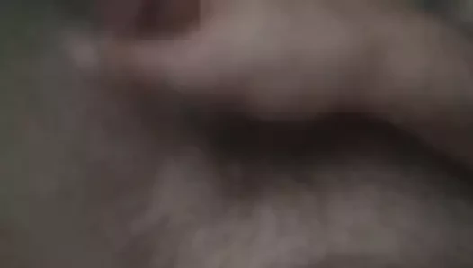 Mhmtalp24