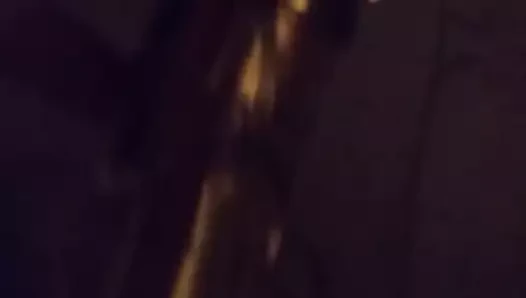 Amcık