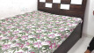 Pratinjau video